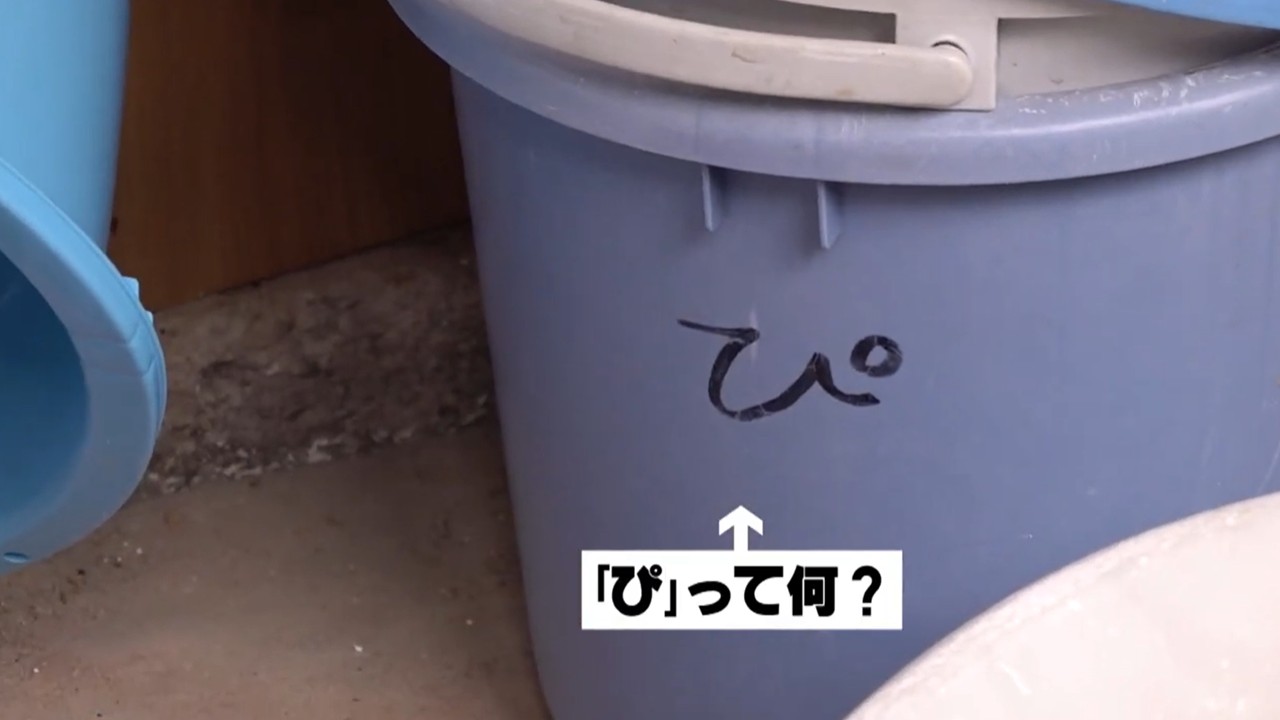 ぴくせるの“ぴ”バケツに込められた意味